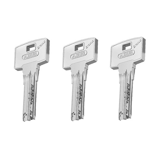 Замок навесной ABUS Rock-83CS/55 Bravus-1000 (3 ключа) - Фото №2