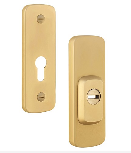 Протектор ROSTEX Astra R3 (38-55мм) титан PVD сатин - Фото №1