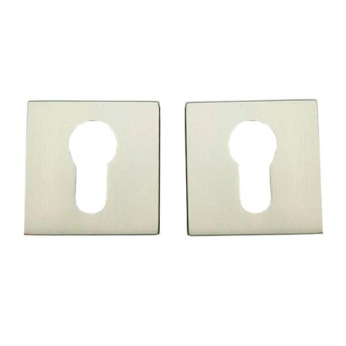 Накладки на серцевину TRION FTZ49 MSN нікель