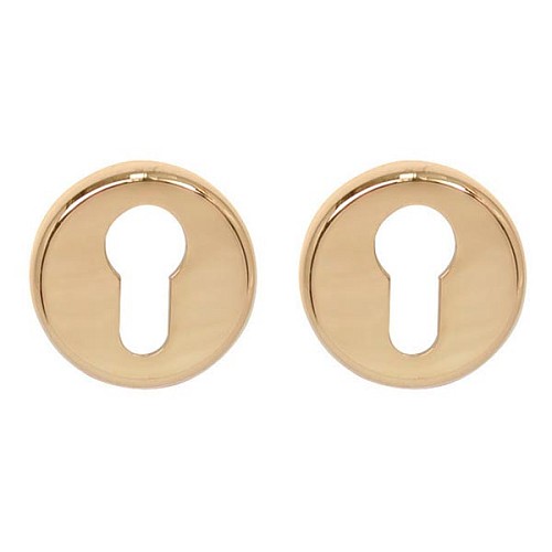 Накладки на сердцевину COLOMBO CD63 полированная латунь