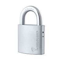 Замок навесной MUL-T-LOCK G55 Interactive+ (2 ключа)