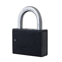 Замок навесной MUL-T-LOCK M10/C1 ClassicPRO (2 ключа)
