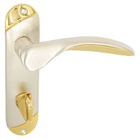 Ручки на планці Jupiter WC 62 сатин/золото