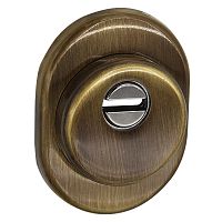 Протектор AZZI FAUSTO F23 ANT с юбкой 25 мм бронза