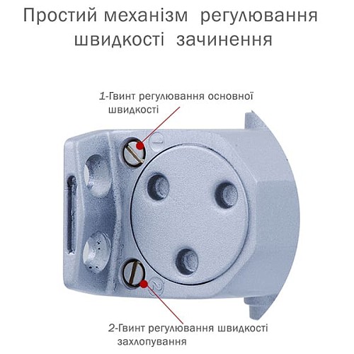 Дотягувач RYOBI DS-1554 STD HO з фіксацією до 80кг Сірий - Фото №6