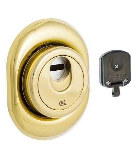 Протектор магнитный DISEC 3G2FM 25мм латунь PVD - Фото №1