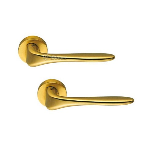 Ручки на розеті COLOMBO Madi AM31 (CD49BZGG-CD43G) матове золото - Фото №1