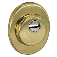 Протектор AZZI FAUSTO F23 Topsecure 25 мм 85х70 полірована латунь