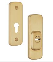 Протектор ROSTEX Astra R3 (38-55мм) титан PVD матовий