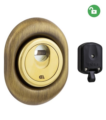 Протектор магнитный DISEC 3G2FM 25мм бронза сатин - Фото №1