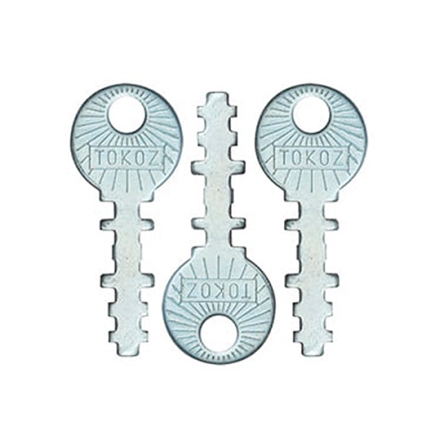 Замок навісний TOKOZ 112/50 (3 ключа) - Фото №5