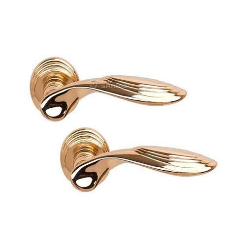 Ручки на розетте COLOMBO Cameo DB41 (DB19BZG-DB13) полированная латунь - Фото №1